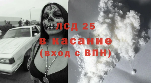 шишки Богородск
