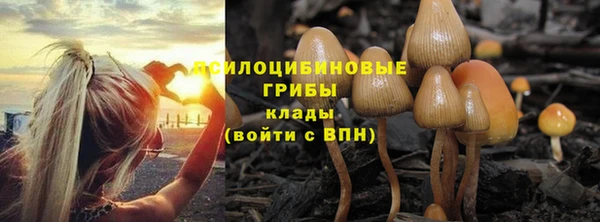 шишки Богородск