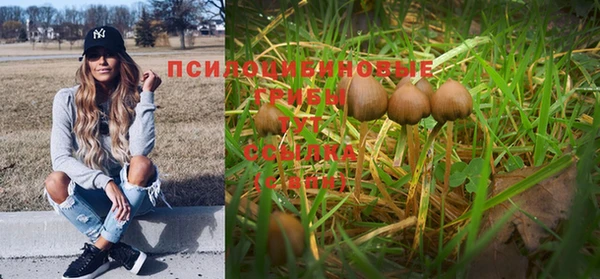 мет Богданович