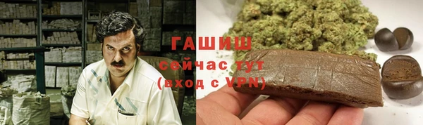 гашик Богородицк