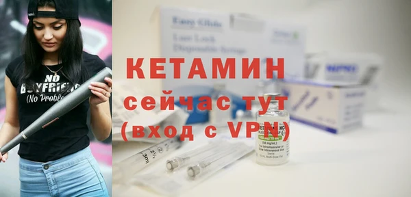шишки Богородск