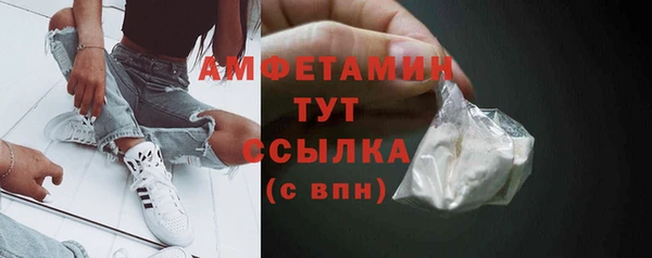 шишки Богородск