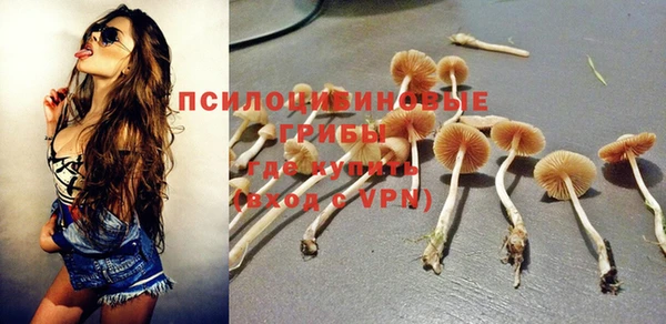 мет Богданович