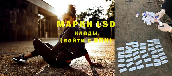 гашик Богородицк
