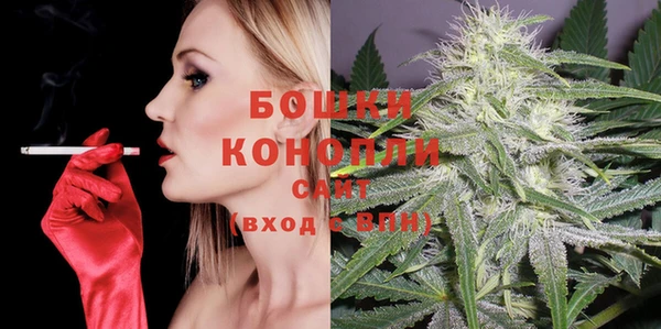 шишки Богородск