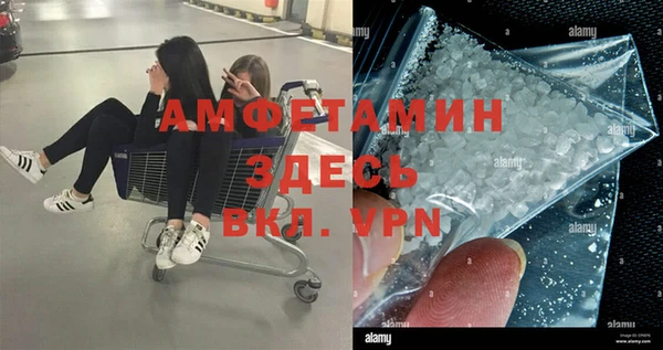 шишки Богородск