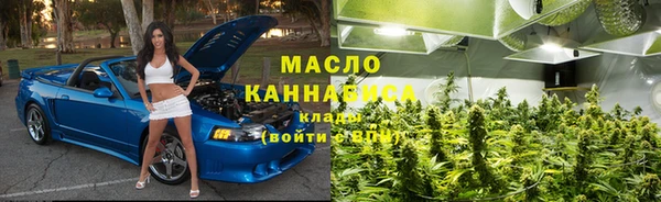 гашик Богородицк
