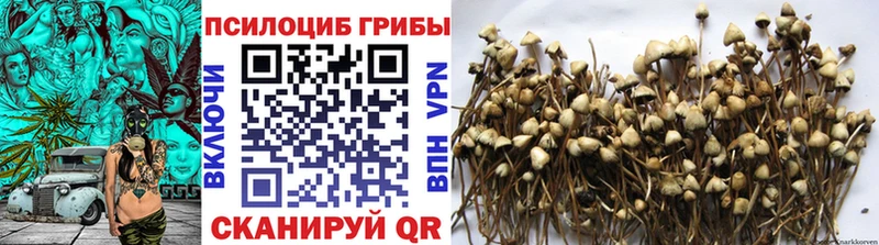 Псилоцибиновые грибы мухоморы  Купить где  Трёхгорный 